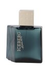 Iceberg Homme Eau de Toilette 100 ml